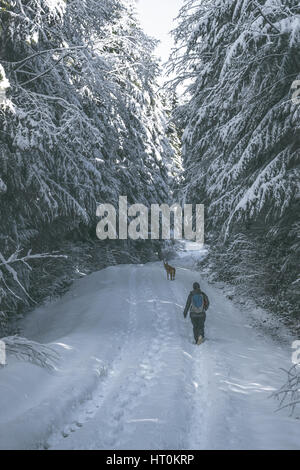 Frau mit Tier im Wald Schneeschuhwandern Stockfoto