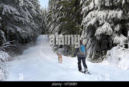 Frau mit Tier im Wald Schneeschuhwandern Stockfoto