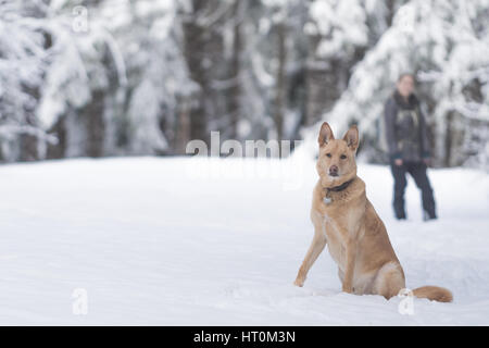 Frau mit Tier im Wald Schneeschuhwandern Stockfoto