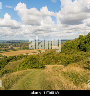 Ein Blick über die Sussex Weald von hoch oben auf den South Downs in West Sussex, Südengland, Großbritannien. Stockfoto