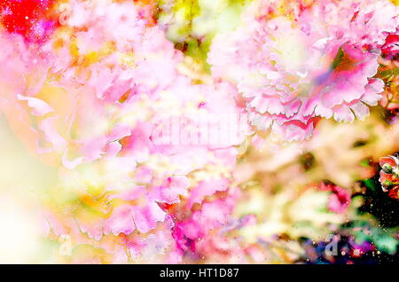 abstrakte multicolor Blume Motiv Collage im Raum. Nelke Blume. Stockfoto