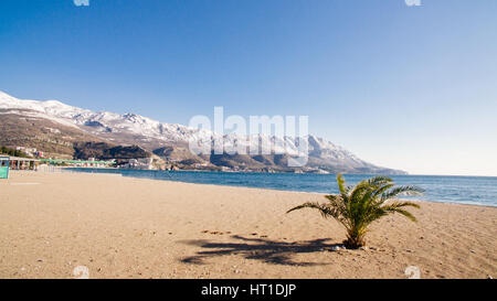 Winter-Strand mit Palmen und Schnee. Berge im Schnee. Stockfoto
