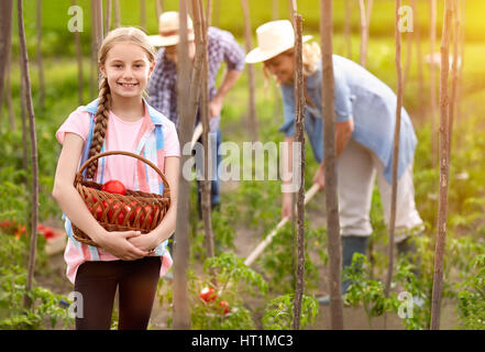 Mädchen halten Korb mit frisch gepflückten Tomaten im Garten Stockfoto