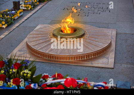 Unbekannten Soldaten Gedenkstätte Flamme unter Arc de Triomphe in Paris Frankreich seit 1921 Stockfoto