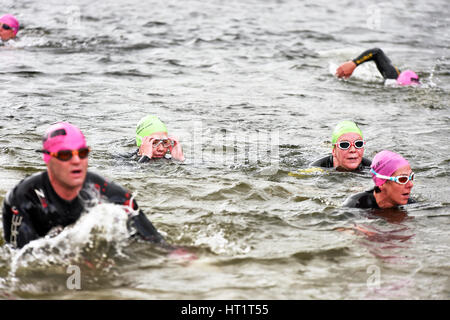 Offenes Wasser schwimmen Event Ullswater See, Cumbria UK Stockfoto