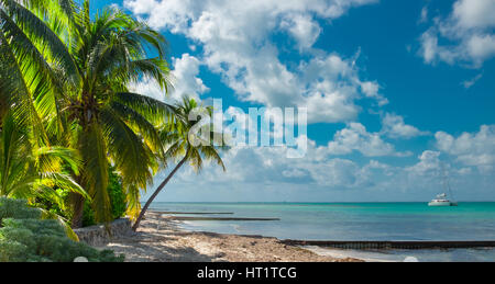 Einer der Strände der Rum Point mit einem Katamaran auf das Karibische Meer, Grand Cayman, Cayman Islands Stockfoto