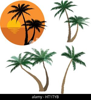 Palm Tree set Art Floral Design Elemente tropischen pflanzen Bäume Flachbild farbenfrohes Design und schwarze Silhouette Kollektion Stock Vektor