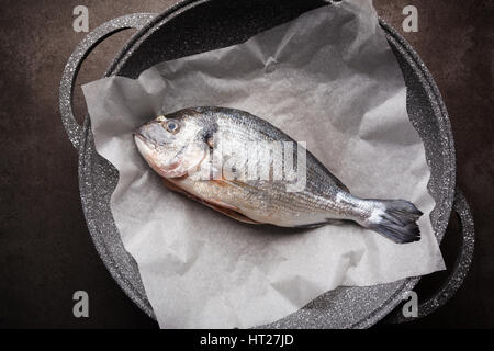 Ungekocht Dorado oder Dorade Fisch mit Zitrone, Kräuter, Öl, Gemüse und Gewürze in einer Pfanne auf einem Backpapier auf schwarzem Hintergrund, Ansicht von oben Stockfoto