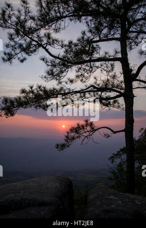 Phukradueng Nationalpark Thailands. Stockfoto