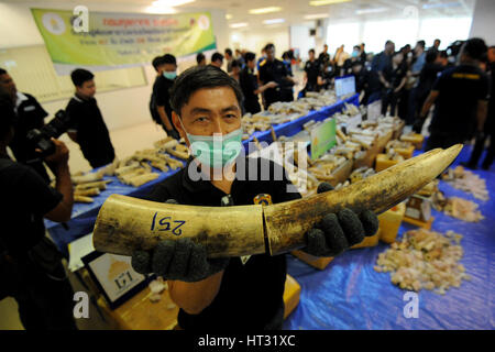 Bangkok, Thailand. 7. März 2017. Ein Zollbeamter zeigt ein Stück des afrikanischen Elefanten Tusk beschlagnahmt von Schmugglern auf die Customs Department of Suvarnabhumi International Airport in Bangkok, Thailand, 7. März 2017. Behörden in Thailand am Montag beschlagnahmt 422 Stücke von geschmuggelten Elfenbein mit einem Gewicht von etwa 330 Kilogramm, die in Ladungen aus Malawi verborgen sind. Bildnachweis: Rachen Sageamsak/Xinhua/Alamy Live-Nachrichten Stockfoto