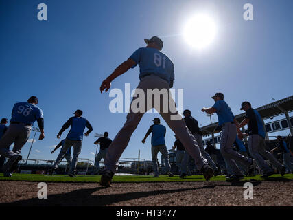 Tampa, Florida, USA. 7. März 2017. CHRIS URSO | Times.Tampa Bay Strahlen Spieler warm-up vor der Einnahme auf die New York Yankees in einem Frühling training Spiel Dienstag, 7. März 2017 in Tampa. Bildnachweis: Chris Urso/Tampa Bay Times / ZUMA Draht/Alamy Live News Stockfoto