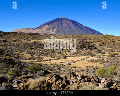 Pico del Teide, Nordosten, Teide Nationalpark Parque Nacional de Las Cañadas del Teide, Teneriffa, Kanarische Inseln, Spanien Stockfoto