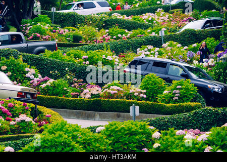 San Francisco, Kalifornien, USA. Blick auf die Welt berühmte Lombard Street mit Autos und Kurven Stockfoto
