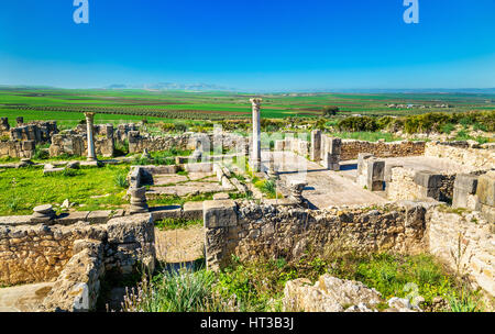 Ruinen von Volubilis, Berber und römische Stadt in Marokko Stockfoto