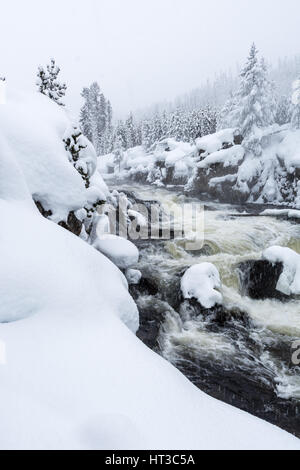 Schöne malerische Schneelandschaft eines fließenden Flusses im Yellowstone National Park mit schneebedeckten Bäumen, Felsen und Stromschnellen. Stockfoto