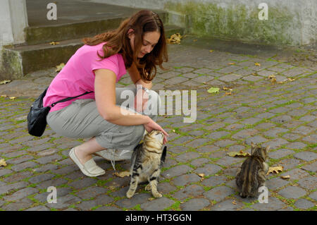 Frau im Freien eine Katze streicheln Stockfoto