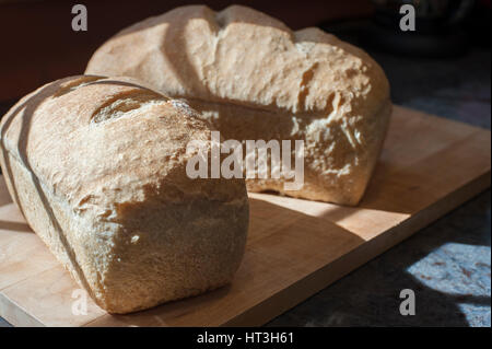 Zwei Sauerteig Brote Kühlung auf ein Schneidebrett Stockfoto