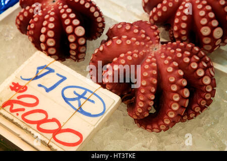 Frischer Tintenfisch zum Verkauf an berühmten Tokio Fisch Markt, Tokyo, Japan Stockfoto