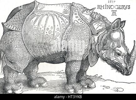 "Ein Nashorn", 1515, (1906). Künstler: Albrecht Dürer. Stockfoto