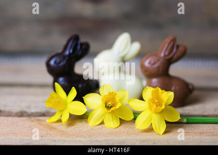 Narzissen und Schokolade von Osterhasen im Hintergrund Stockfoto