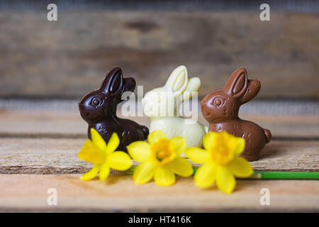 Narzissen und Schokolade von Osterhasen im Hintergrund Stockfoto