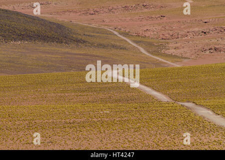 Schotterstraße inmitten der Anden. Lage: Zwischen San Pedro de Atacama und El Tatio Geysir Feld, Atacama, Nord-Chile Stockfoto