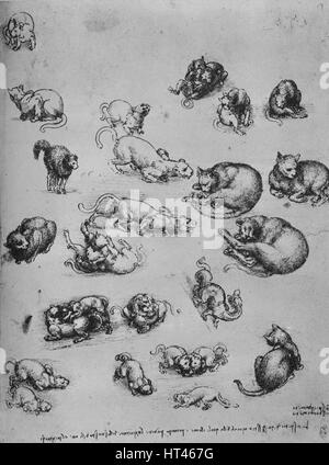 "Studien von Katzen und eines Drachen", c1480 (1945). Künstler: Leonardo da Vinci. Stockfoto