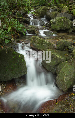 KLEINE KASKADE EL YUNQUE NATIONAL FOREST RIO GRANDE PUERTO RICO Stockfoto