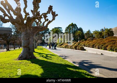 Menschen schlendern vorbei an der DeYoung Museum im Golden Gate Park, mit verfing Ahornblättrige Platane und Scotch Ulmen sichtbar, San Francisco, Kalifornien, 14. Januar 2017. Stockfoto