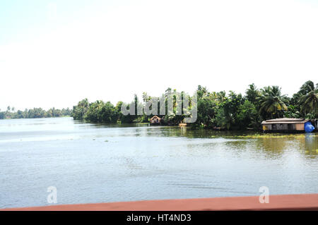 Kerala Backwaters - Panorama-Blick auf eine Lagune, Alleppey, Alappuzha District, Kerala, Indien (Photo Copyright © by Saji Maramon) Stockfoto