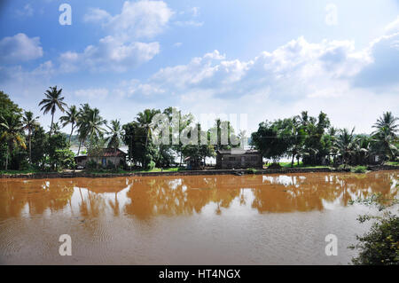 Kerala Backwaters - Panorama-Blick auf eine Lagune, Alleppey, Alappuzha District, Kerala, Indien (Photo Copyright © by Saji Maramon) Stockfoto