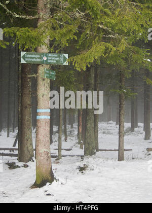 Wegweiser auf eine Norwegische Fichte, Wegbeschreibung für Wanderer und Skifahrer in den Wäldern der Nordmarka und Lillomarka am Stadtrand von Oslo Norwegen Stockfoto