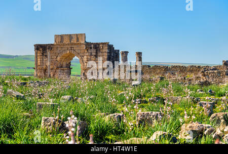 Caracalla Triumphbogen in Volubilis, ein UNESCO-Weltkulturerbe in Marokko Stockfoto