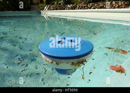 Chlor-Container in schmutzigen Schwimmbad, Kunststoff, Blätter schweben. Stockfoto