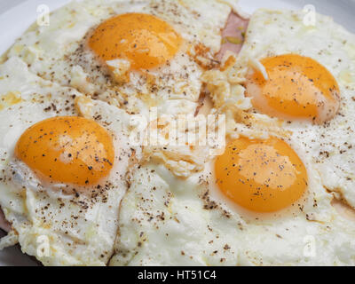 Vier Spiegeleier auf Schinken und Käse Stockfoto