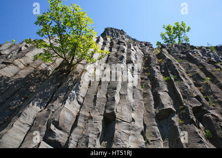 Vulkanischen Basaltfelsen Hegyestű, Nationalpark Balaton, Plattensee, Ungarn Stockfoto