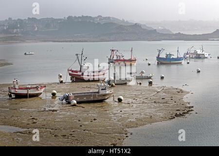 Fischerboote in Watt bei Ebbe, Erguy, Bretagne, Frankreich Stockfoto