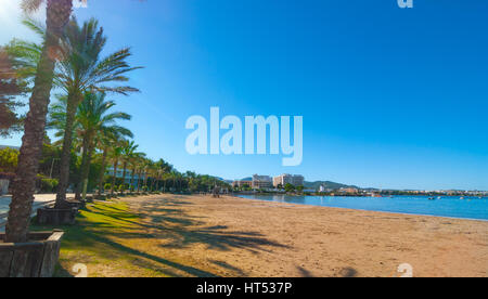 Reihen von Palmen säumen den Strand, sonnigen Tag entlang der Wasserkante in Ibiza, Balearen St Antoni de Portmany, Spanien. Stockfoto