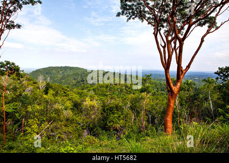 Blick auf Las Terrazas in Provinz Pinar Del Rio, Kuba Stockfoto