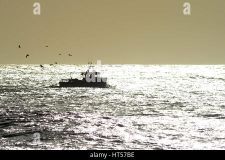 Angelboot/Fischerboot gefolgt von Vögel Köpfe in in das glitzernde Meer Stockfoto