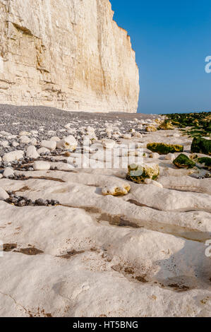 Der Strand und Klippen bei Birling Gap Sussex England Stockfoto