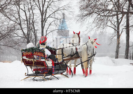 Russischen Orlow Traber Pferde ziehen Schlitten im Winter Hindernis Kegel fahren auf Stadt Yaroslavl Stockfoto