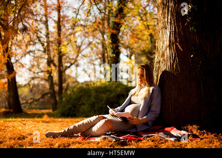 Junge schwangere Frau sitzen unter Baum im Herbst Park und Lesung Buch Stockfoto