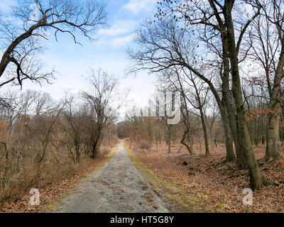 Wiederherstellung von Lebensräumen auf der rechten Seite der Straße. Woods Country Lane, Cook County, Illinois. Stockfoto