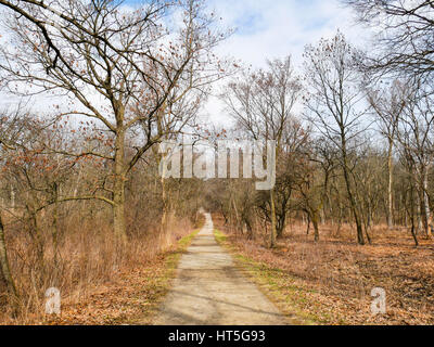 Wiederherstellung von Lebensräumen auf der rechten Seite der Straße. Woods Country Lane, Cook County, Illinois. Stockfoto