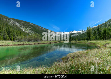 Ein Fluss von schmelzenden Schnee Wasser des Mount Lyell im Yosemite National Park. Stockfoto