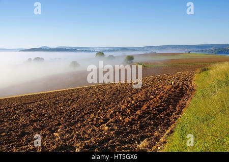 Burgund-Landschaft im Morgennebel, Frankreich Stockfoto