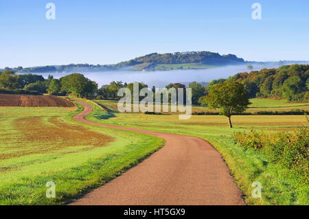 Burgund-Landschaft im Morgennebel, Frankreich Stockfoto