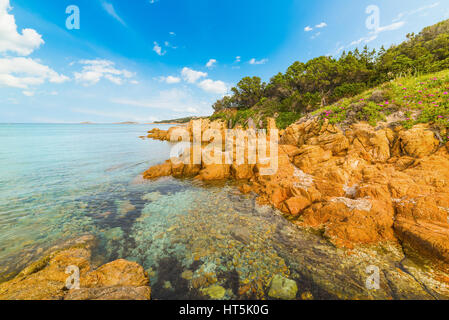 Piccolo Pevero Strand an der Costa Smeralda, Sardinien Stockfoto