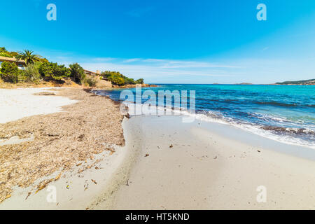 Piccolo Pevero Strand an der Costa Smeralda, Sardinien Stockfoto